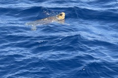 IMG_0577